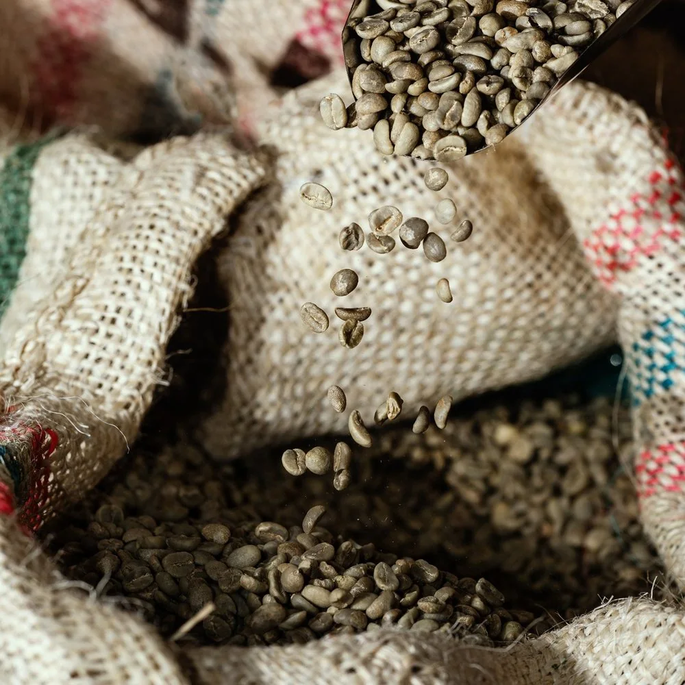 Green coffee poured from a scoop into a sack, from MRGT’s photography archive